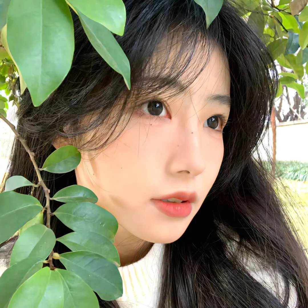麒麟之翼